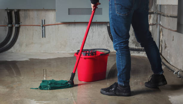 Best Water damage restoration near me  in West Bishop, CA