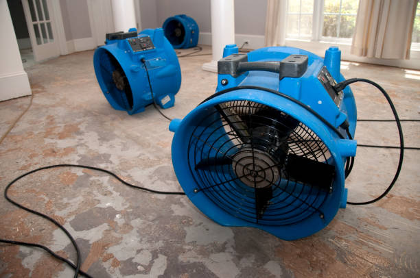 Best Water damage restoration near me  in West Bishop, CA