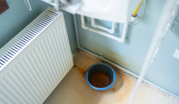 Best Water damage cleanup near me  in West Bishop, CA