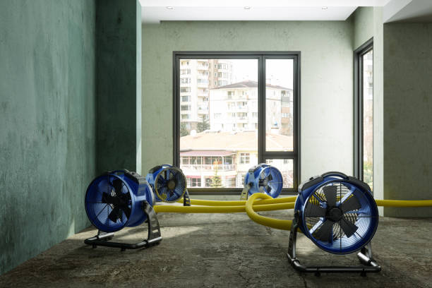 Best Fire Damage Restoration  in West Bishop, CA
